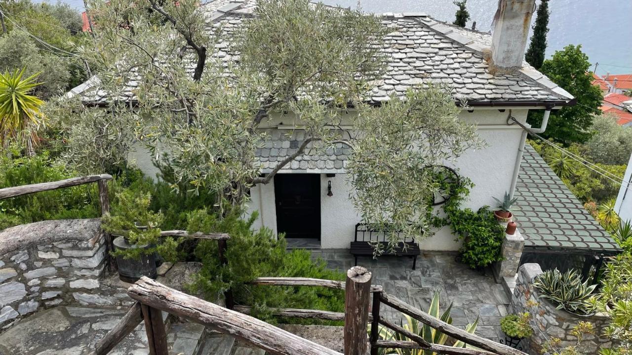 Iris Sea View Villa Afissos Zewnętrze zdjęcie